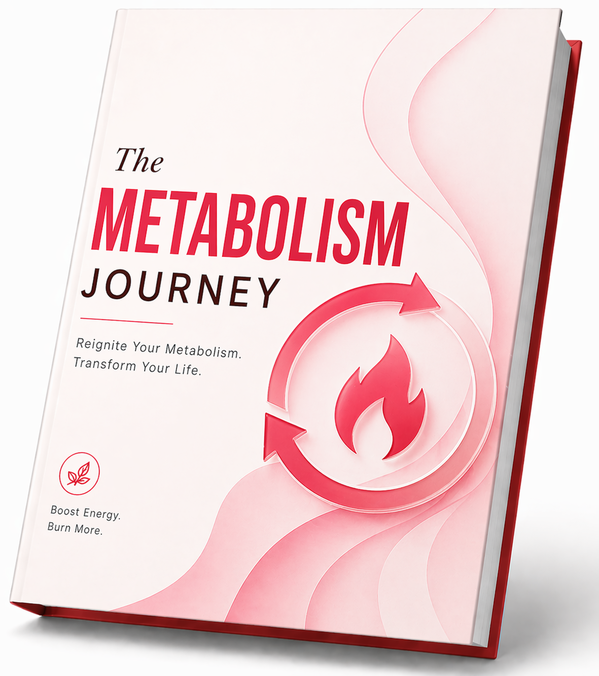 JellyThin reviews Metabolism Journey Guide bonus free 6 bottle pack